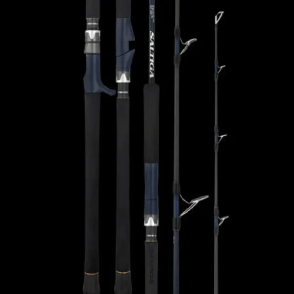 Daiwa Flies|Fishing Rods<25 Saltiga J