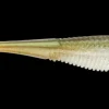 TackleWest Soft Plastic Lures|Flies<Rapala Crush City The Jerk 3.75