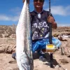 Venom Flies|Fishing Rods<Land Based Game