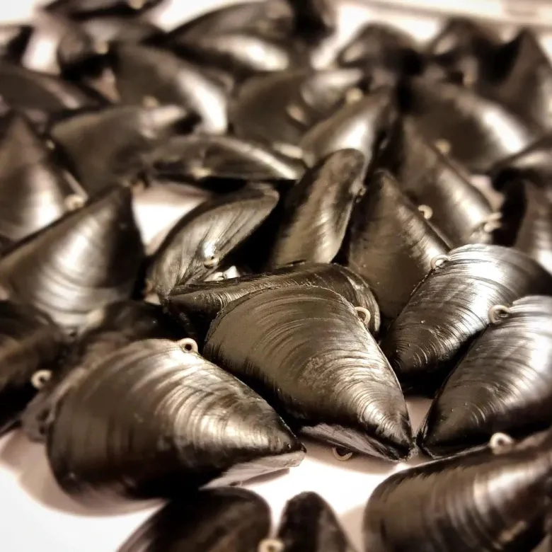 Blue Lip Baits Vibe Lures|Flies<Micro Mussel