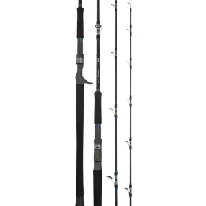 DAIWA Flies|Fishing Rods<25 Leobritz DG Overhead Rod