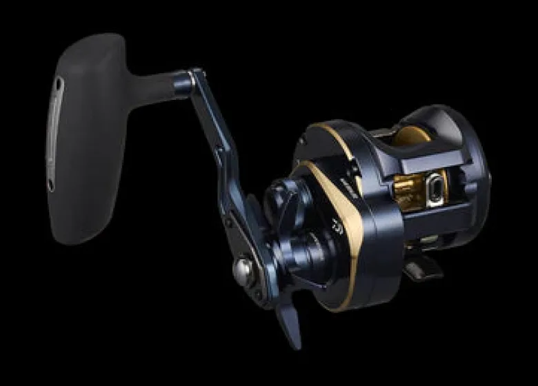 Daiwa Flies|Overhead Reels<25 Saltiga 300H Overhead Reel