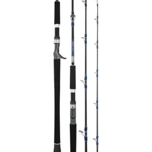 Daiwa Flies|Fishing Rods<25 Seaborg DG Overhead Rod