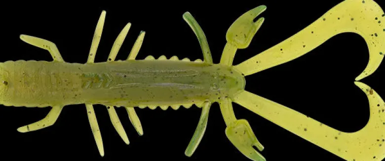 TackleWest Soft Plastic Lures|Flies<Daiwa Bait Junkie Risky Critter