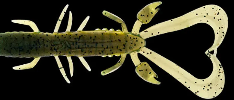 TackleWest Soft Plastic Lures|Flies<Daiwa Bait Junkie Risky Critter