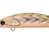 Daiwa Flies|Fishing Lures<Double Clutch 48SP