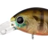 Daiwa Flies|Fishing Lures<Infeet Rolling Crank DR
