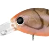 Daiwa Flies|Fishing Lures<Infeet Rolling Crank DR