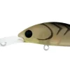Daiwa Flies|Fishing Lures<Infeet Spike 44EXDR