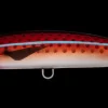 TackleWest Stickbaits|Flies<Daiwa Saltiga Rough Ride 160F