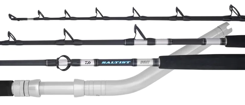 Daiwa Flies|Electric Rods<Saltist Dendoh Rod