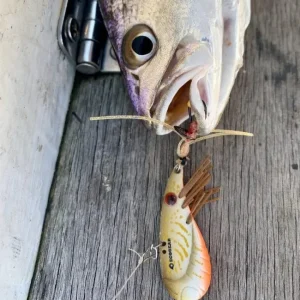 Ecogear Flies|Blade Lures<ZX40