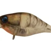 Jackall Flies|Fishing Lures<Chubby 38F Shallow