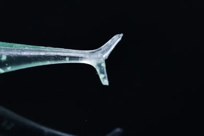 TackleWest Soft Plastic Lures|Flies<Jackall Jelly Sardine 54