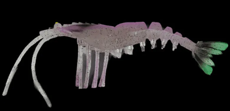 TackleWest Soft Plastic Lures|Flies<King Brown Killer Prawn