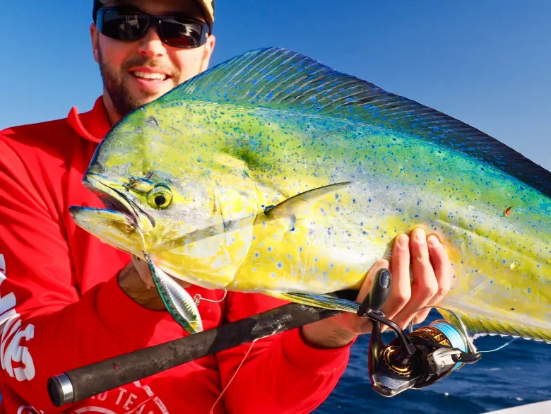 TackleWest Stickbaits|Flies<Nomad Design Madscad 115