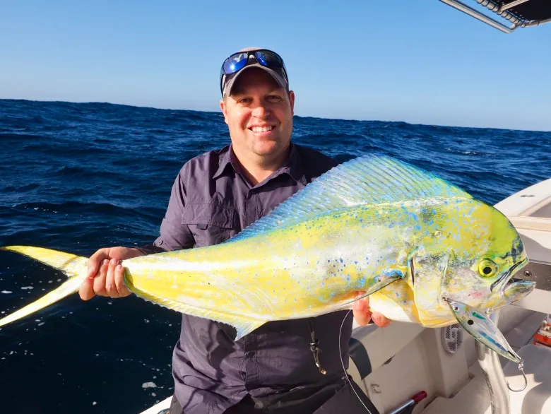 TackleWest Stickbaits|Flies<Nomad Design Madscad 115