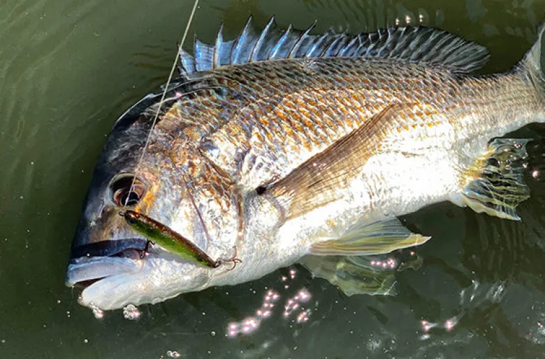 Pro Lure Stickbaits|Flies<SK62S