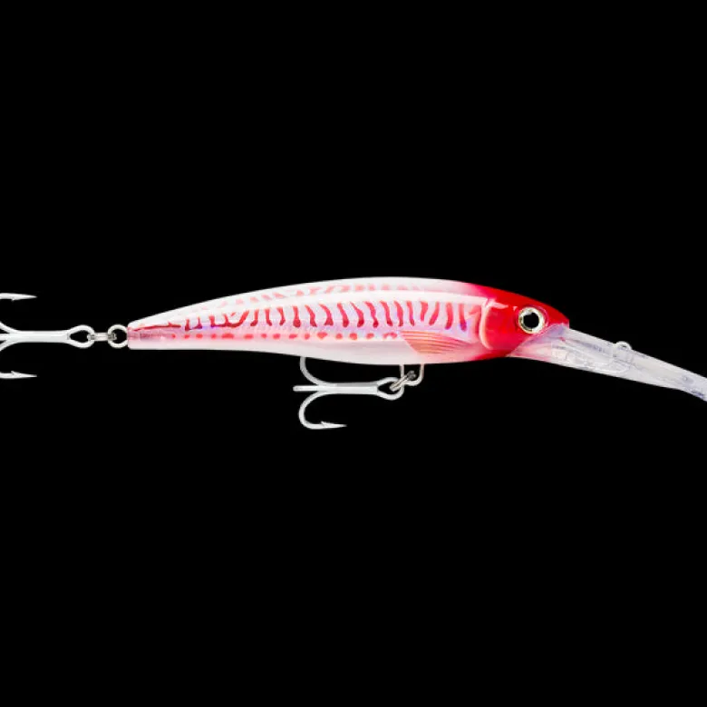 Rapala Flies|Fishing Lures<X-Rap Magnum 20