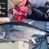 Zenaq Flies|Offshore Rods<Tobizo TC 77 Tuna Monster Buster