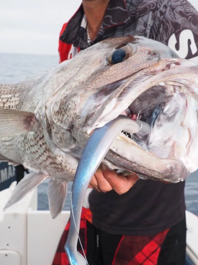 TackleWest Soft Plastic Lures|Flies<Zman Mag Swimz 8