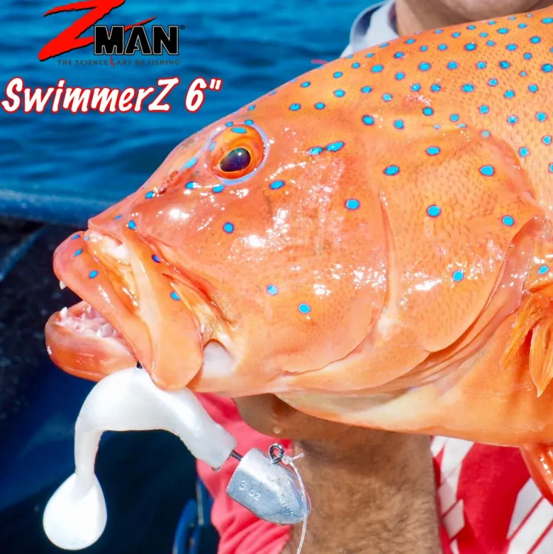 TackleWest Soft Plastic Lures|Flies<Zman Swimmerz 6